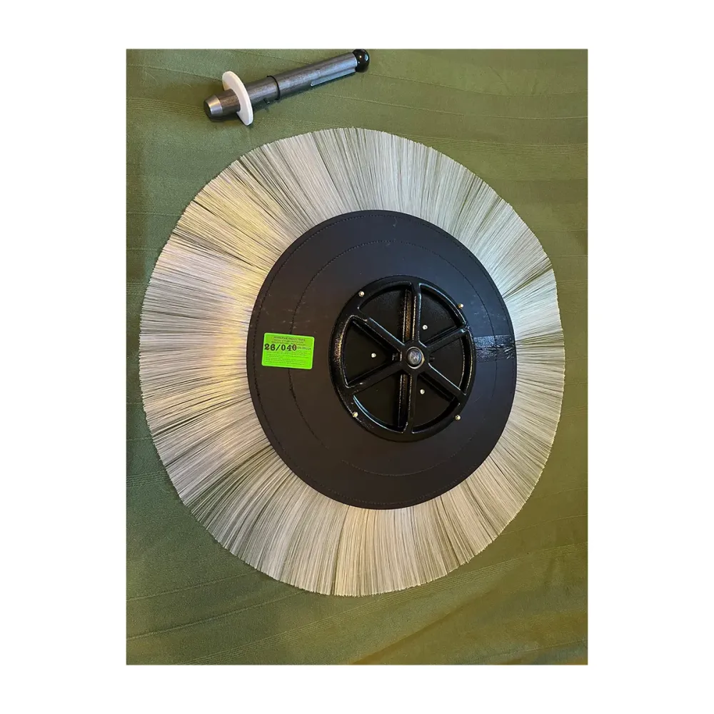Whisker Disk 2